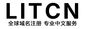 LITCN国际域名外贸网站服务商